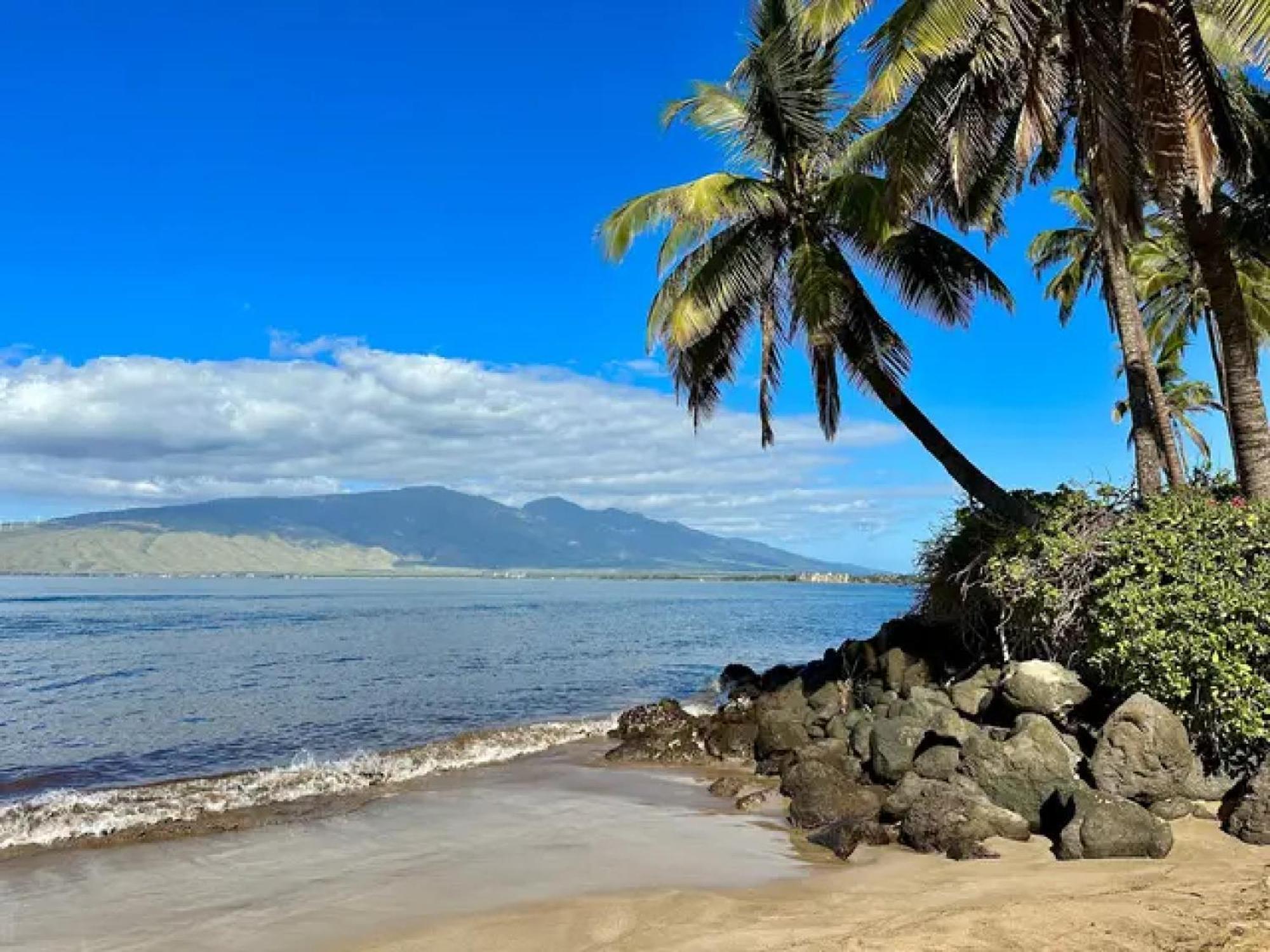 Cozy Maui Studio Retreat Just Steps To The Sand! Kihei Esterno foto